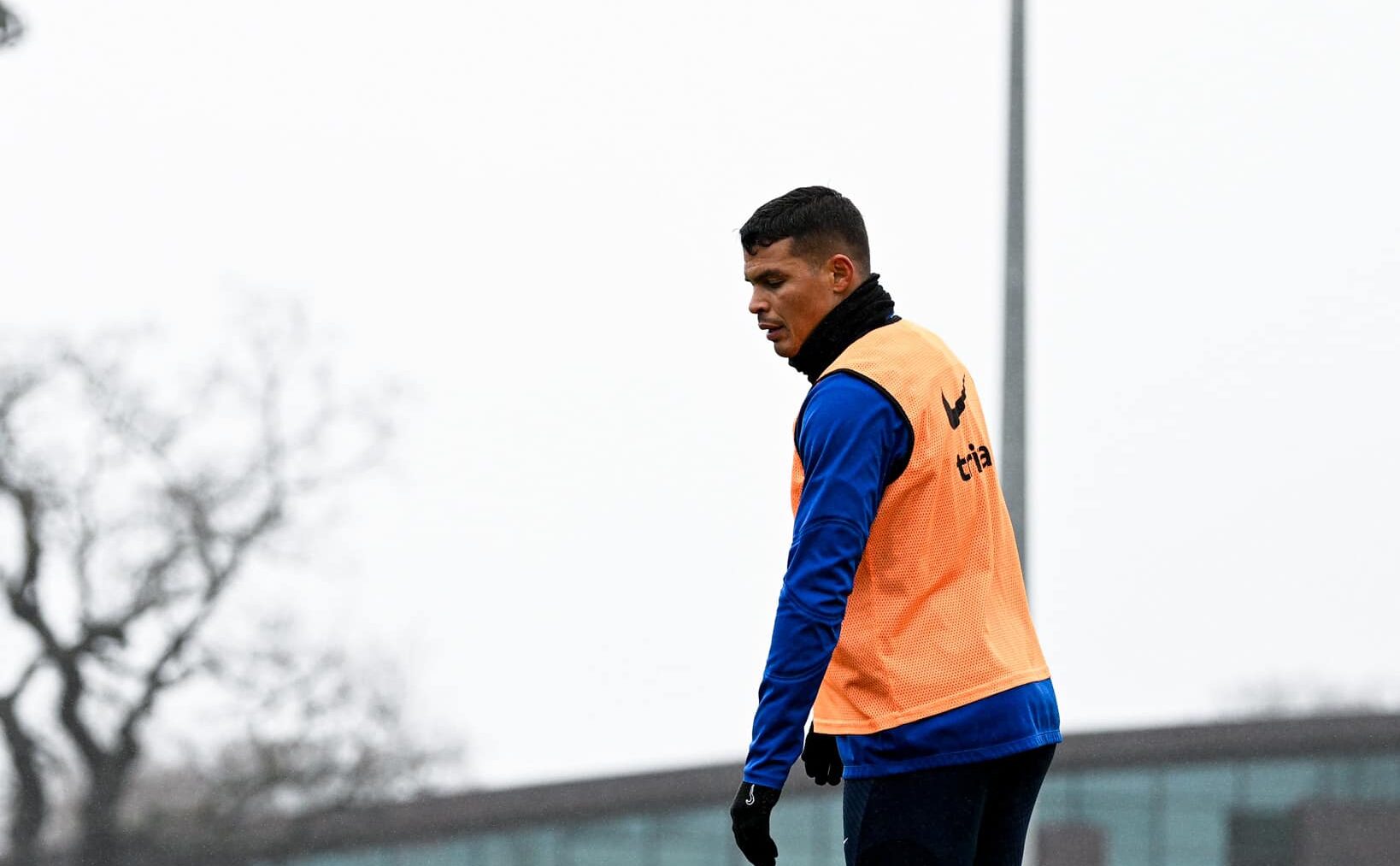 Chelsea