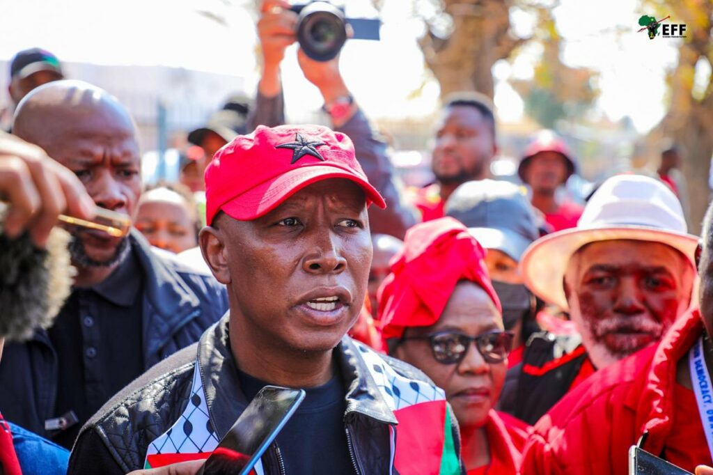 Julius Malema
